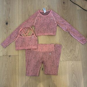 GYM SHARK - ADAPT FLECK SEAMLESS SET (s)